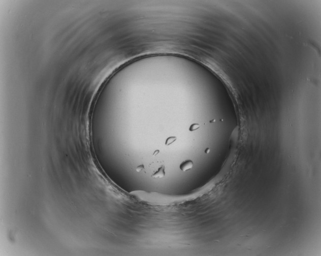 X0000103290996200809122003