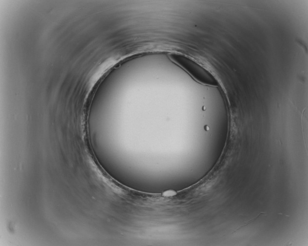 X0000103290997200809122003