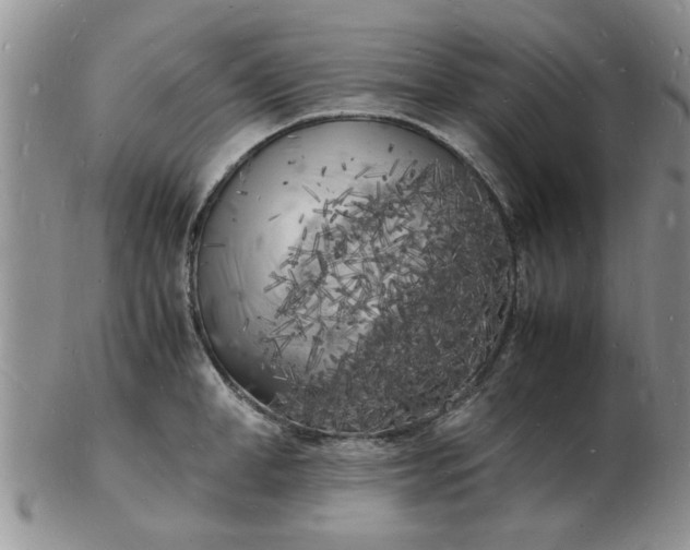 X0000103290998200809122003