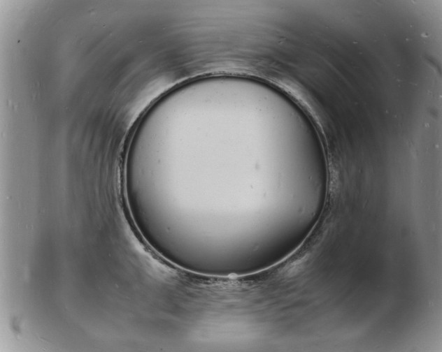 X0000103290999200809122003