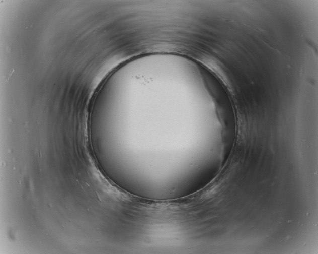 X0000103291000200809122003