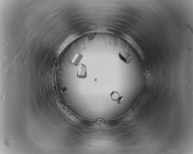 X0000103291002200809122003