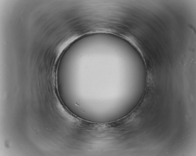 X0000103291003200809122003