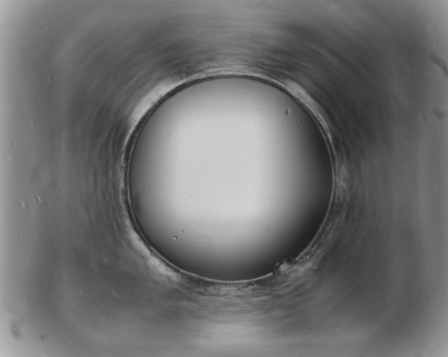 X0000103291005200809122003