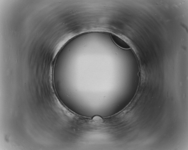 X0000103291006200809122003