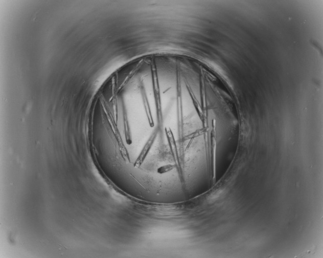 X0000103291007200809122003