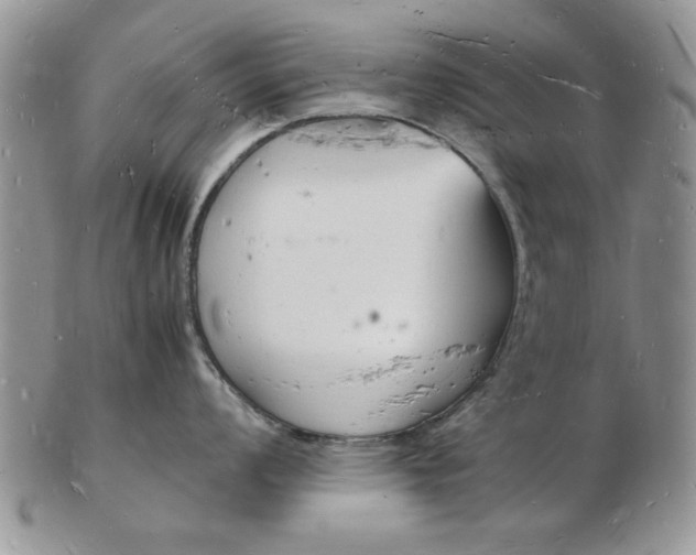 X0000103291008200809122003