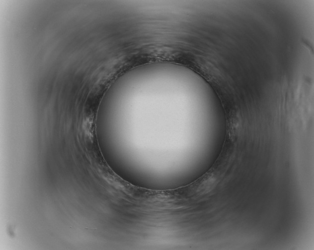 X0000103291010200809122002