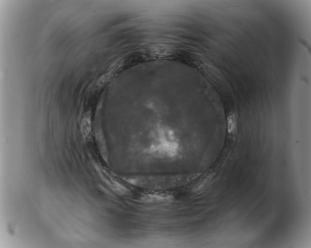 X0000103291011200809122002