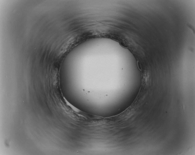 X0000103291012200809122002