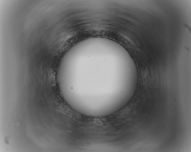 X0000103291013200809122002