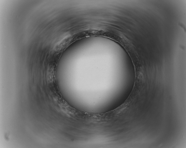 X0000103291014200809122003