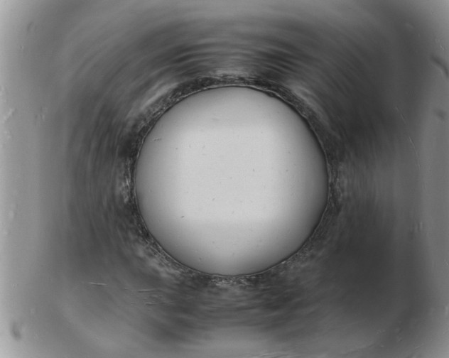 X0000103291015200809122003