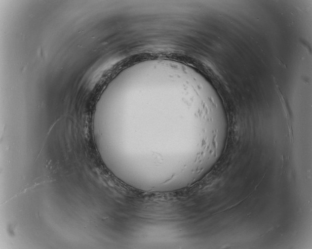 X0000103291016200809122003