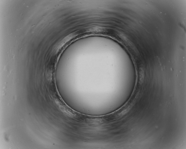 X0000103291017200809122003