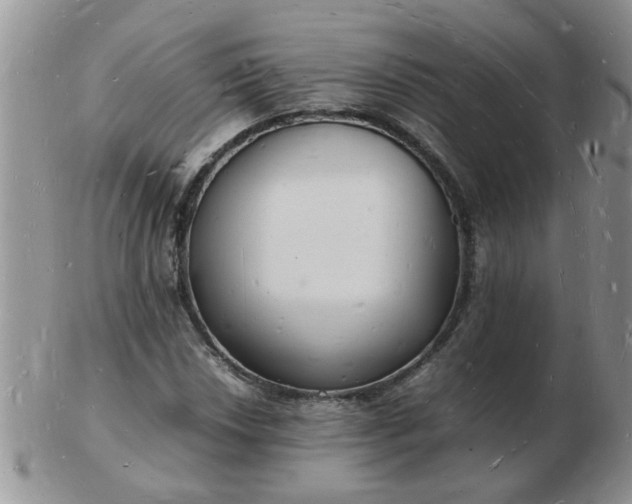 X0000103291018200809122003