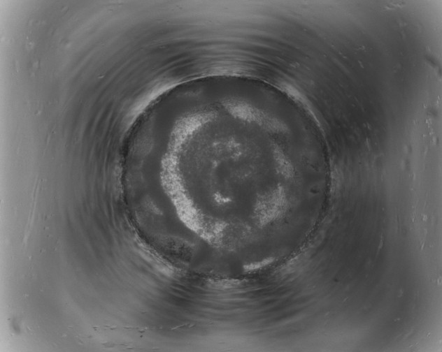 X0000103291019200809122003