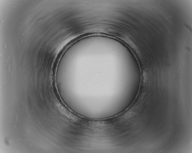 X0000103291020200809122003