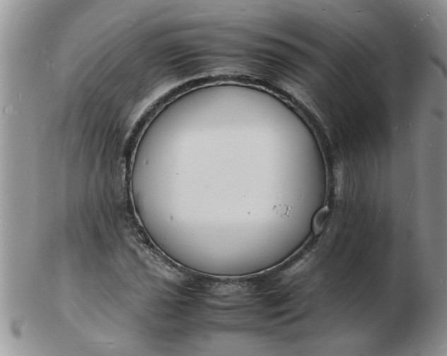 X0000103291021200809122003