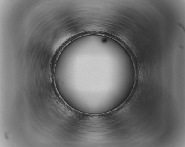 X0000103291022200809122003