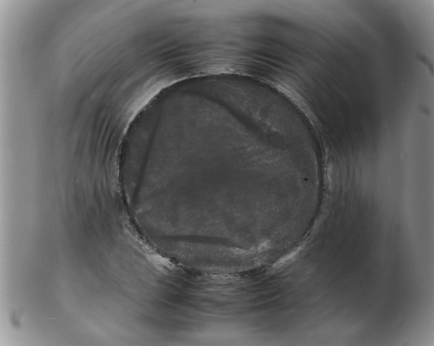 X0000103291023200809122003