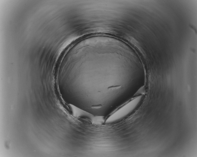 X0000103291024200809122003