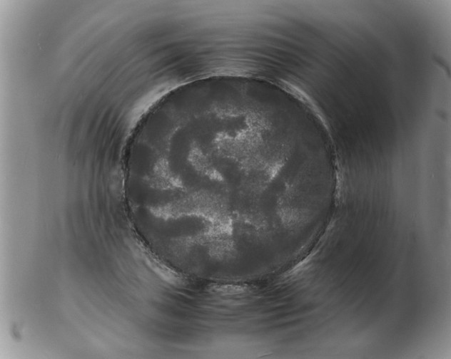 X0000103291027200809122003