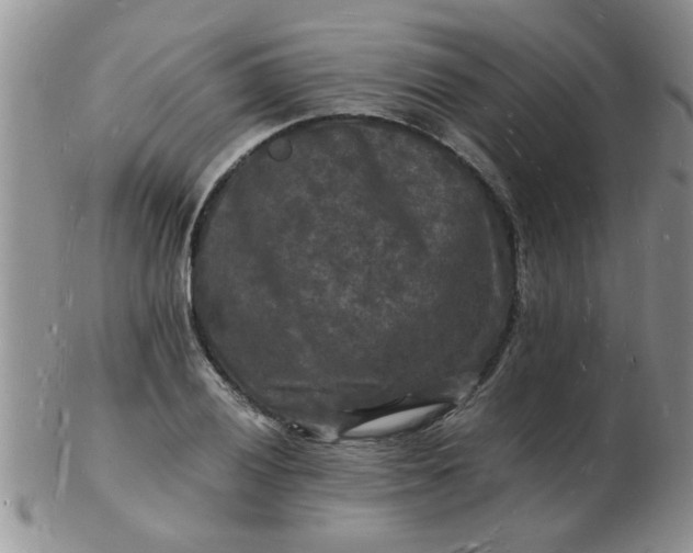 X0000103291028200809122003