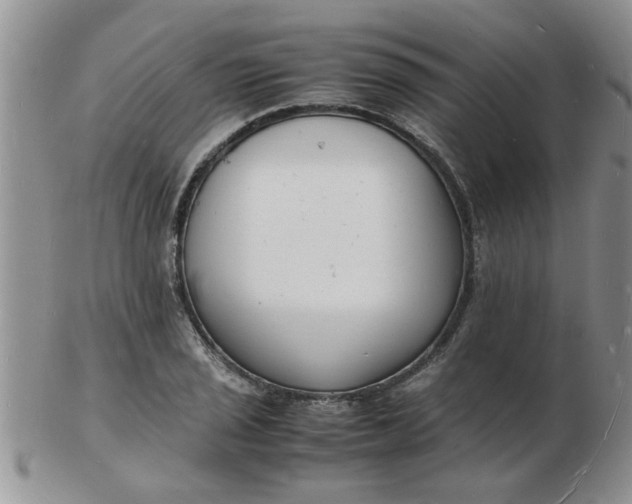 X0000103291029200809122003