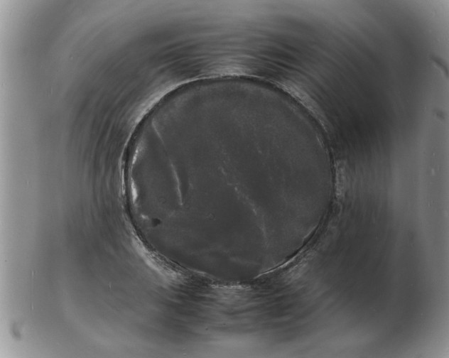 X0000103291031200809122003