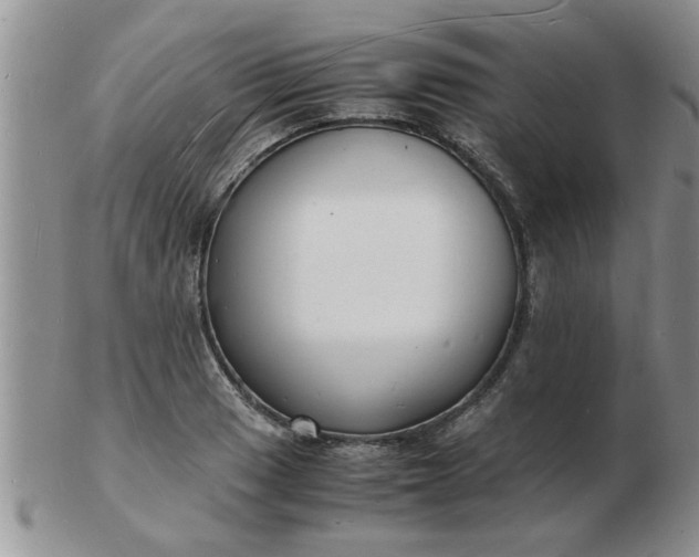 X0000103291033200809122003