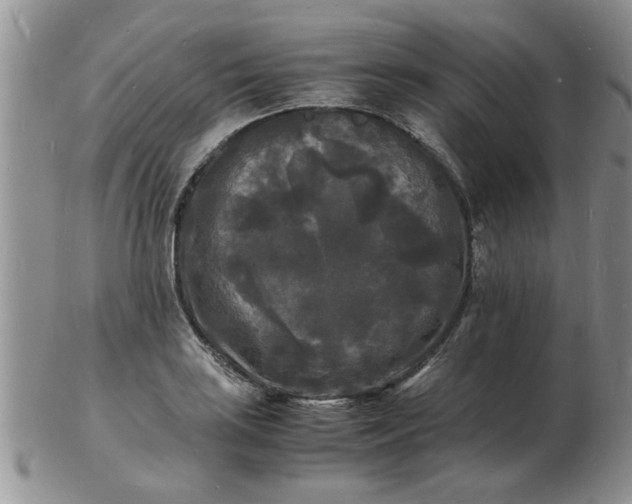 X0000103291035200809122003