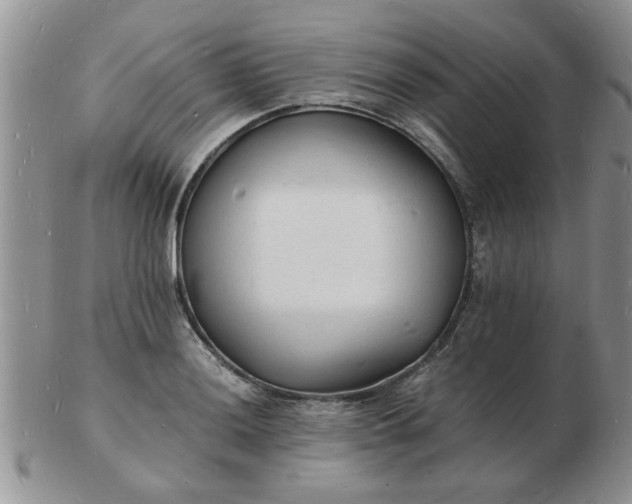 X0000103291036200809122003