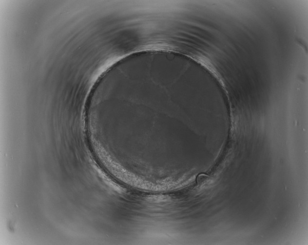 X0000103291037200809122003