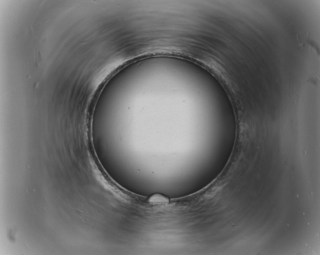 X0000103291038200809122003