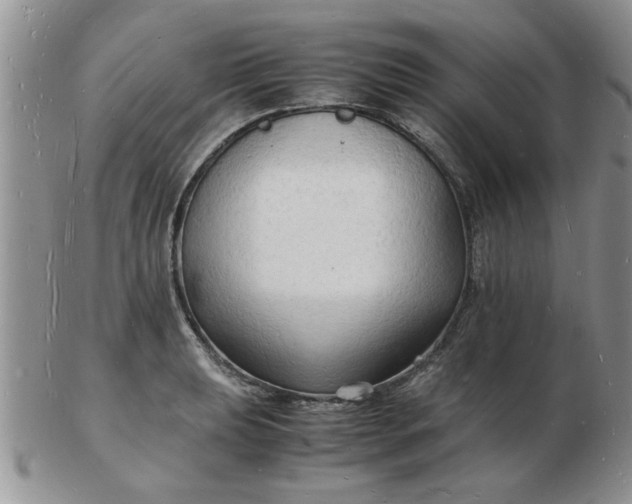 X0000103291039200809122003