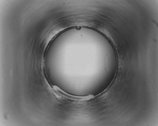 X0000103291040200809122003