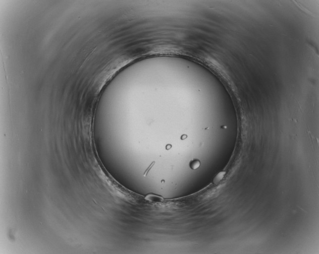 X0000103291041200809122003