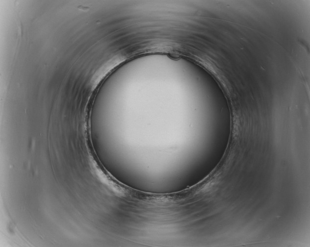 X0000103291042200809122003