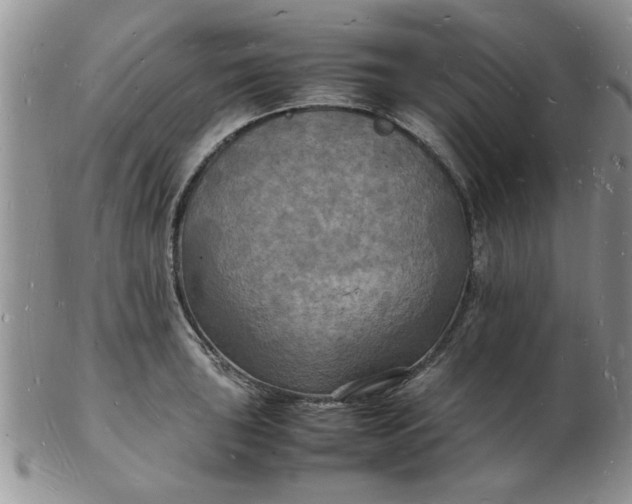 X0000103291043200809122003