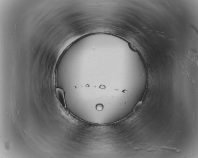 X0000103291044200809122003