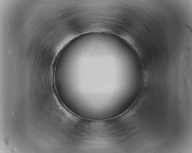 X0000103291046200809122003