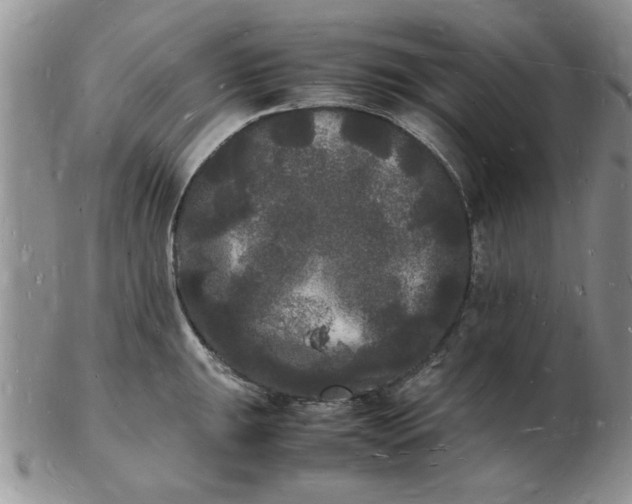 X0000103291047200809122003