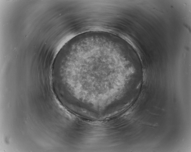 X0000103291048200809122003