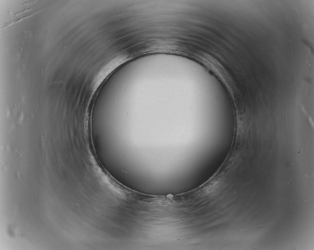 X0000103291050200809122003