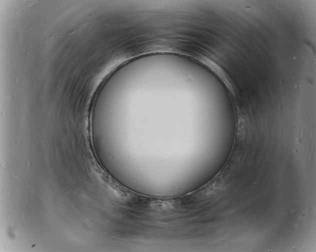 X0000103291051200809122003