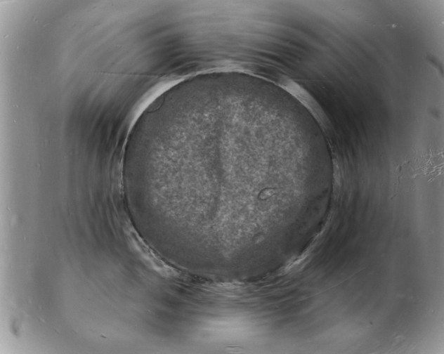 X0000103291052200809122003