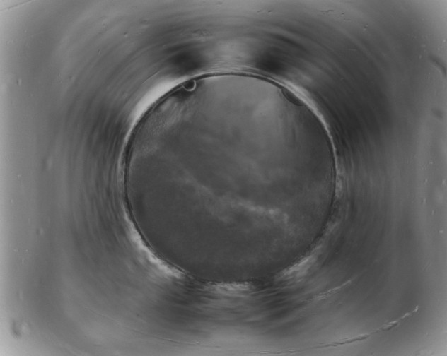 X0000103291053200809122003