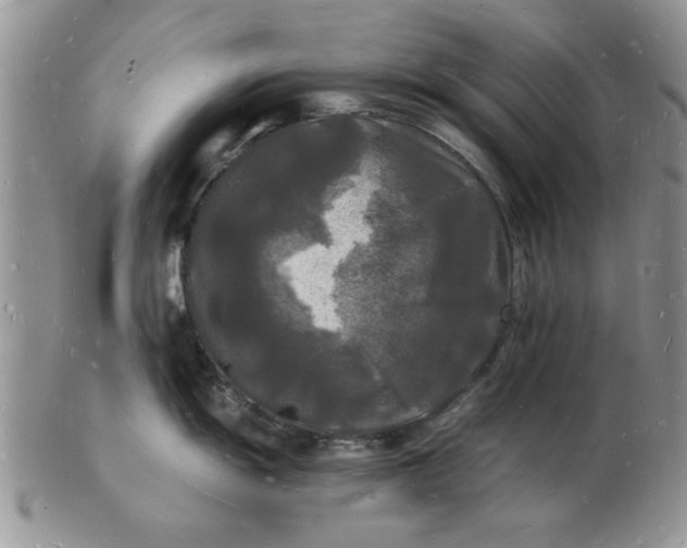 X0000103291055200809122003