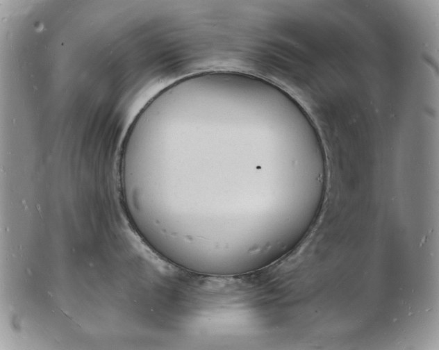 X0000103291056200809122003